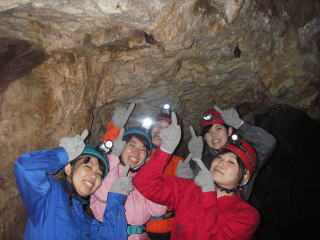 洞窟とコウモリ